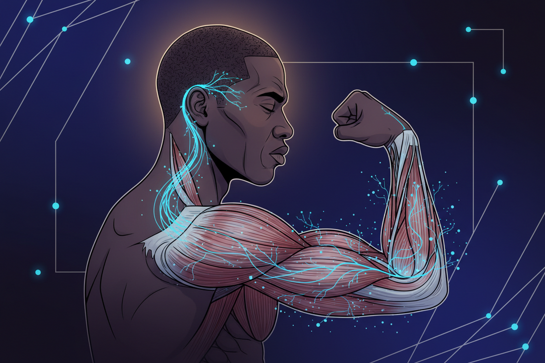 Building Your Body, Builds Your Mind